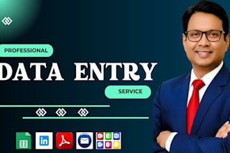 be your professional data entry operator