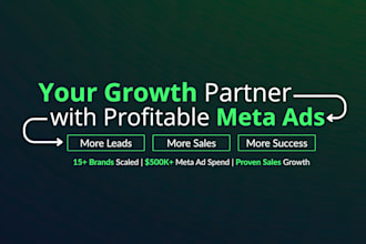 be your meta ads manager to setup, manage facebook ads campaigns