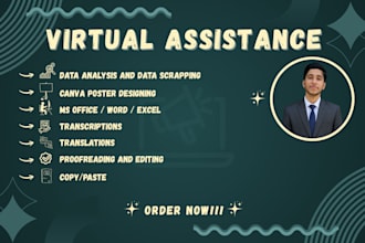 provide virtual assistance for data entry ms office canva and admin tasks