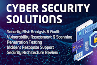 conduct vapt, security and risk assessment, cybersecurity services