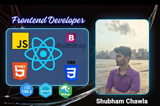 fix bugs in HTML CSS javascript react node js and sql website