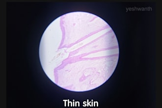 be providing histology slides for medical students