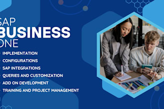 provide sap b1 implementation and development services with technical support