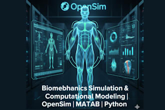 do biomechanics simulation and computational modelling