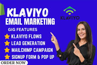 do shopify klaviyo flows, ecommerce email marketing, klaviyo email flow audit