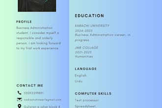 provide a professional CV and resume making service