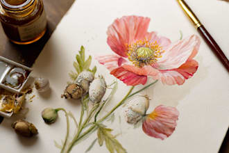 draw botanical illustration of flower illustration