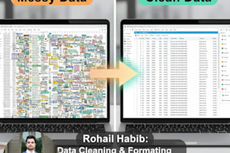 do excel spreadsheet data cleaning and formatting