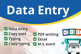 do excel data entry, data entry, PDF to excel data entry