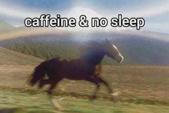 translate english to vietnamese or vietnamese to english professionally