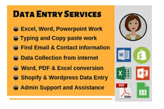 do fast and accurate data entry for you