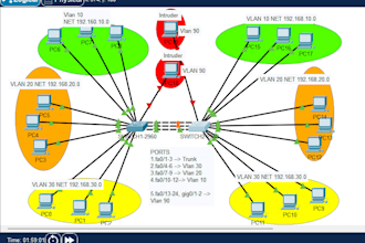 solve networking related labs and tasks for you