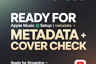 professionally optimize your music streaming platform