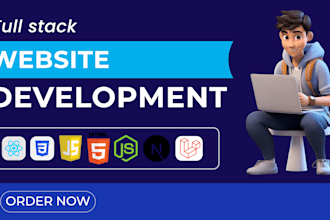 do custom website development as a full stack developer