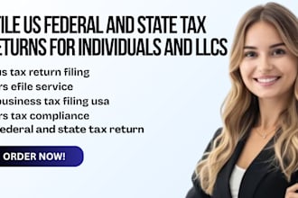 prepare and efile US federal and state tax returns for individuals and llcs