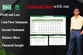 prepare financial statements and cash flow statement fully automatic