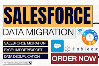 do salesforce data migration dedupe excel import export audit mapping validation