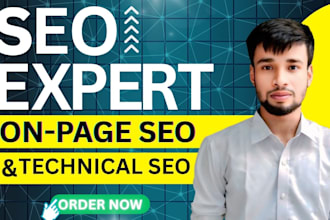 do onpage SEO and technical optimization