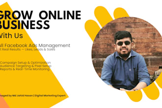 manage and optimize facebook ads for target audience