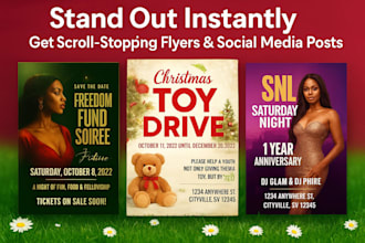 design viral social media posts eye catching business flyers brochures brand kit