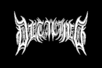 create professional metal band or brand logo design
