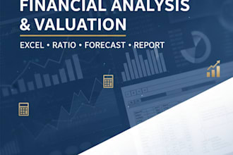 perform financial analysis, ratio analysis, and valuation for your company