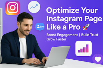 professionally optimize your instagram business page