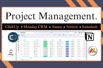 be your clickup expert, monday expert, clickup consultant, clickup automation