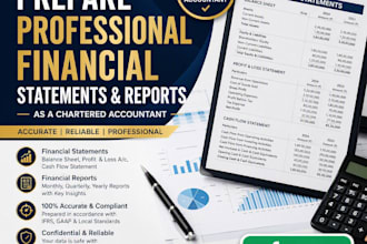 prepare professional financial statements and reports as a chartered accountant