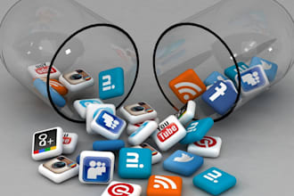 do full complete monthly SEO service for google ranking and traffic