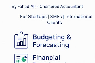 be your virtual cfo