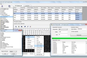 reverse engineer your exe file and analyze it professionally