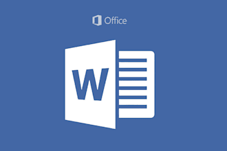 format and edit ms word, excel, pp professionally