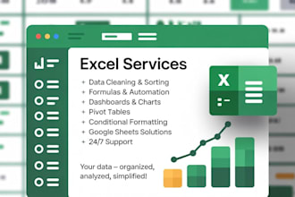 perform excel data cleaning, formatting and validation