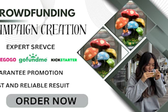 do crowdfunding campaign creation campaign manager promotion gofundme