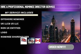 be your professional nominee director, shareholder