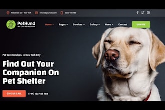 build dynamic pet care website pet accessories store animal veterinary website