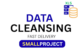 cleaning data error free