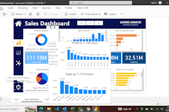 build dashboards, automate excel and sap reports I am an expert in etl