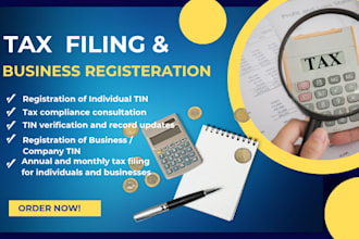 do your tax filing and register your business and individual tin in nigeria