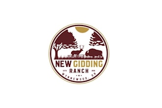 design modern unique ranch logo