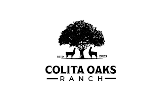 design llama rescue entry way appeal families logo