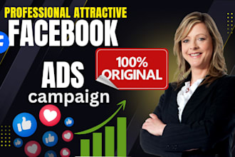 take charge of campaigns, advertising, and facebook ads