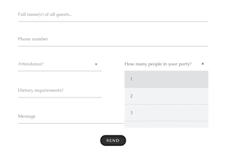 create dynamical and styled forntend based input form