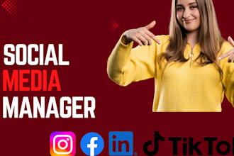 manage your social media accounts and grow your brand