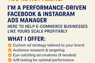 manage your facebook and instagram ads like a pro agency