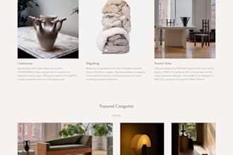 shopify custom theme development and store setup