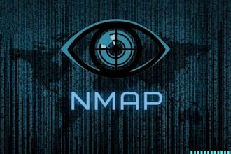 do pentesting of websites and applications