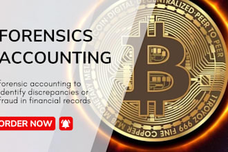 do forensic accounting and asset tracing for forensic audit