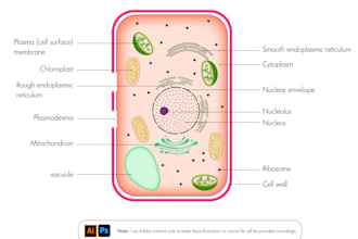 make all types of scientific illustrations